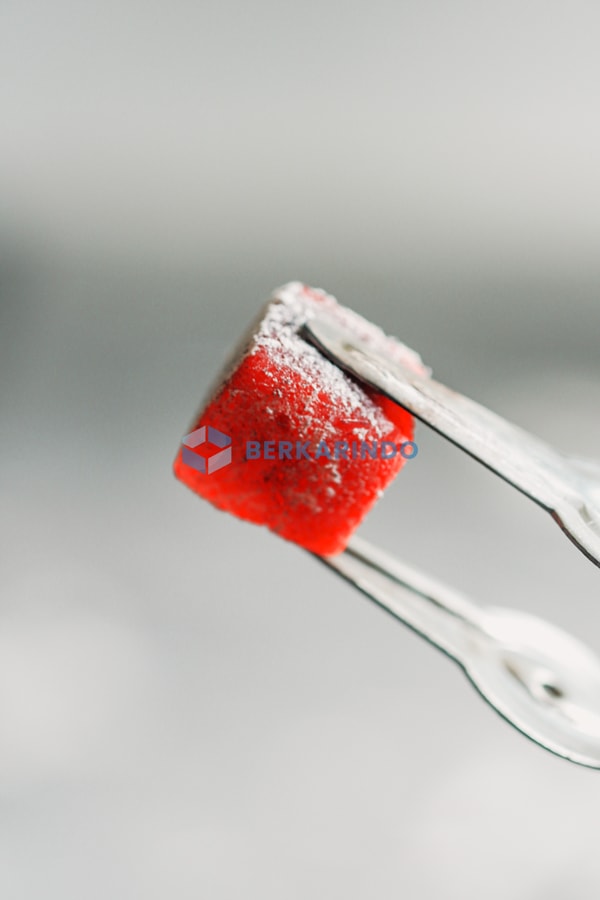 Premium Coconut Charcoal Briquette For Hookah​