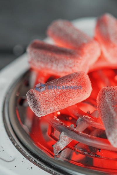 Premium Coconut Charcoal Briquette For Hookah​
